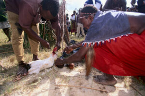 Traditional healer and lost love spell caster in Devon